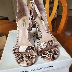 Steve Madden shoes